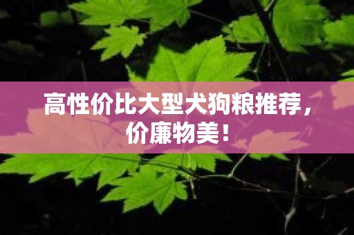 高性价比大型犬狗粮推荐，价廉物美！