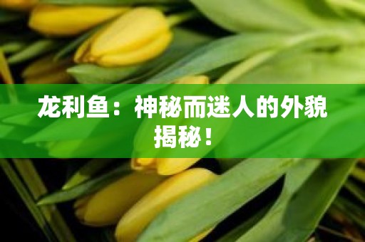 龙利鱼：神秘而迷人的外貌揭秘！