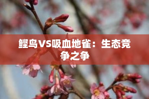 鲣鸟VS吸血地雀：生态竞争之争