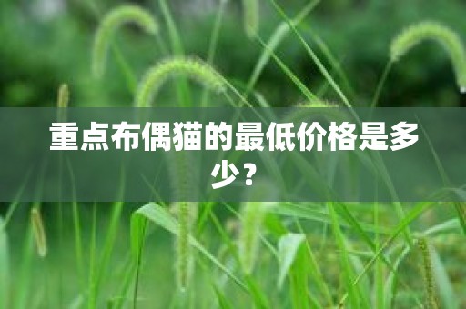 重点布偶猫的最低价格是多少？