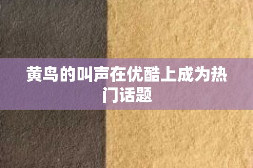黄鸟的叫声在优酷上成为热门话题
