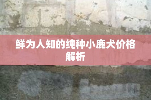 鲜为人知的纯种小鹿犬价格解析