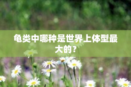 龟类中哪种是世界上体型最大的？