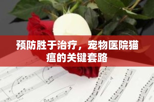 预防胜于治疗，宠物医院猫瘟的关键套路