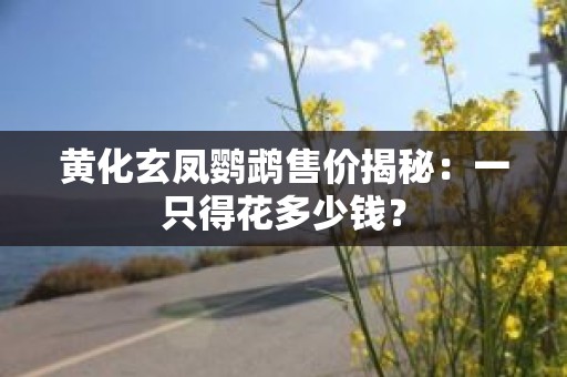 黄化玄凤鹦鹉售价揭秘：一只得花多少钱？