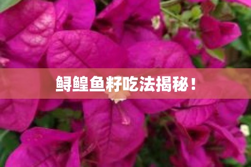 鲟鳇鱼籽吃法揭秘！