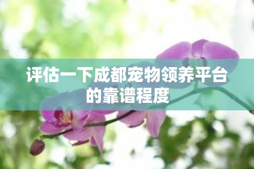 评估一下成都宠物领养平台的靠谱程度