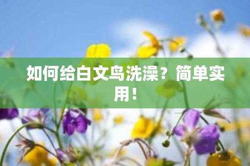 如何给白文鸟洗澡？简单实用！