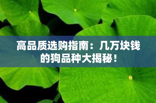 高品质选购指南：几万块钱的狗品种大揭秘！