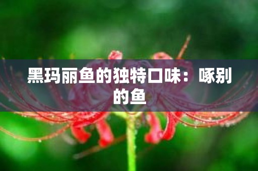 黑玛丽鱼的独特口味：啄别的鱼