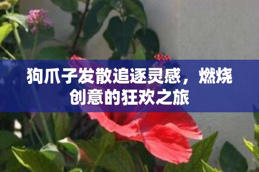 狗爪子发散追逐灵感，燃烧创意的狂欢之旅