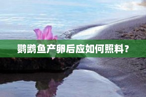 鹦鹉鱼产卵后应如何照料？