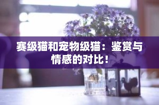 赛级猫和宠物级猫：鉴赏与情感的对比！