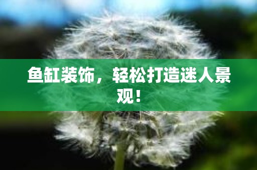 鱼缸装饰，轻松打造迷人景观！