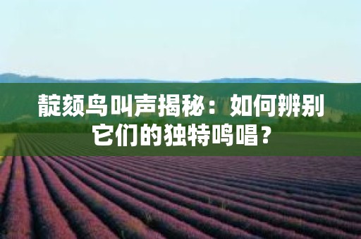 靛颏鸟叫声揭秘：如何辨别它们的独特鸣唱？