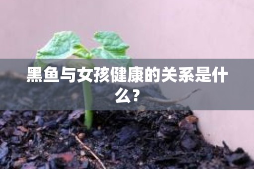 黑鱼与女孩健康的关系是什么？