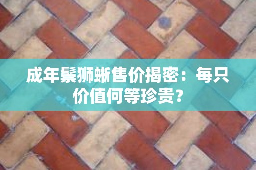 成年鬃狮蜥售价揭密：每只价值何等珍贵？