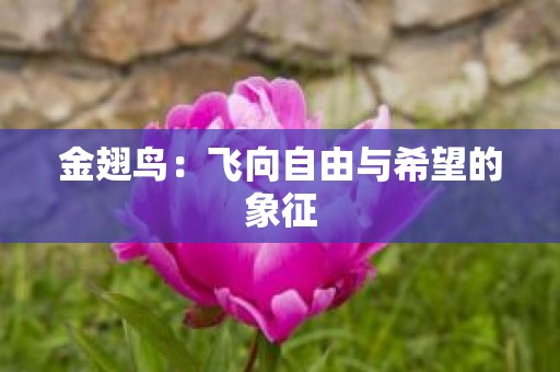 金翅鸟：飞向自由与希望的象征