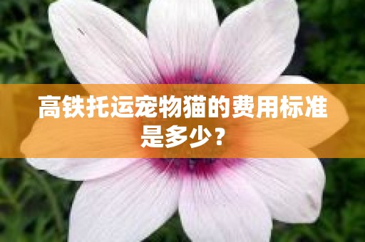 高铁托运宠物猫的费用标准是多少？