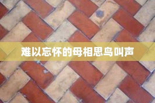 难以忘怀的母相思鸟叫声