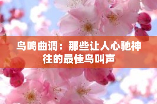 鸟鸣曲调：那些让人心驰神往的最佳鸟叫声