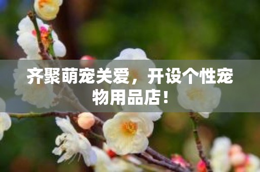 齐聚萌宠关爱，开设个性宠物用品店！
