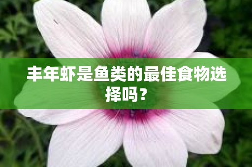 丰年虾是鱼类的最佳食物选择吗？