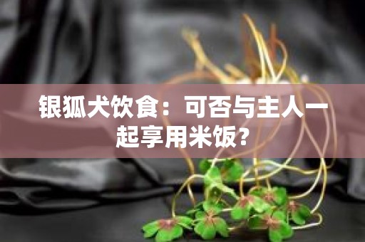 银狐犬饮食：可否与主人一起享用米饭？