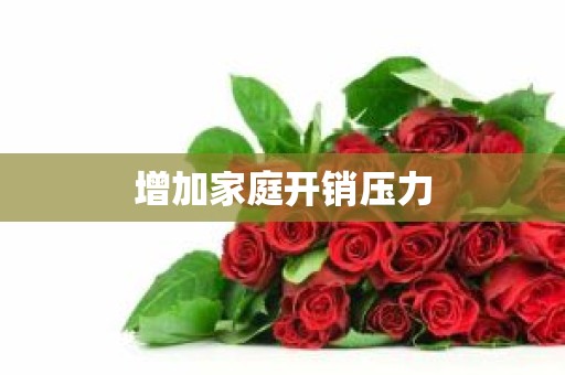 增加家庭开销压力