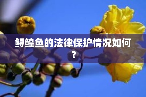 鲟鳇鱼的法律保护情况如何？