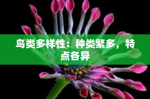 鸟类多样性：种类繁多，特点各异