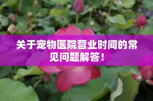 关于宠物医院营业时间的常见问题解答！
