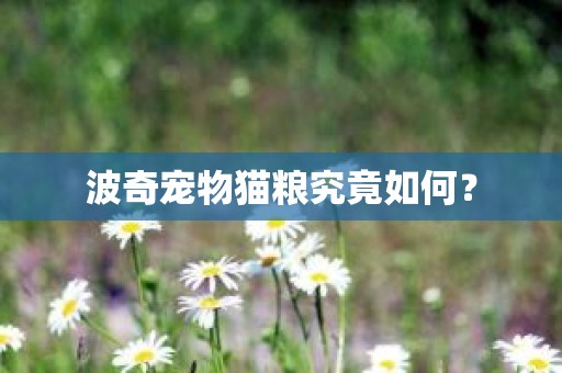 波奇宠物猫粮究竟如何？