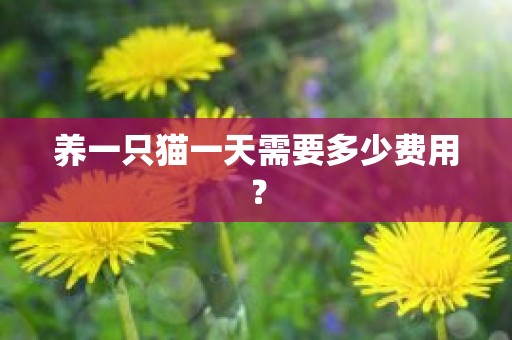 养一只猫一天需要多少费用？