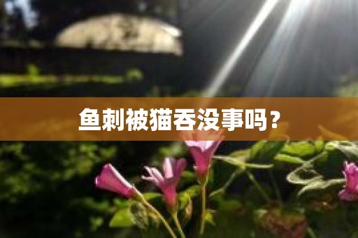 鱼刺被猫吞没事吗？