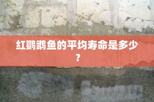 红鹦鹉鱼的平均寿命是多少？