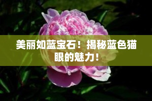 美丽如蓝宝石！揭秘蓝色猫眼的魅力！