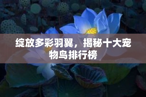 绽放多彩羽翼，揭秘十大宠物鸟排行榜