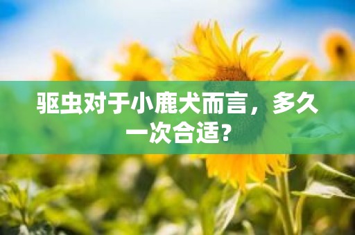 驱虫对于小鹿犬而言，多久一次合适？