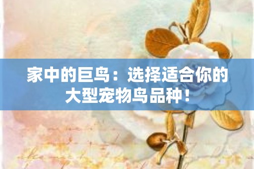 家中的巨鸟：选择适合你的大型宠物鸟品种！