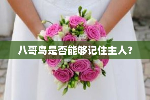 八哥鸟是否能够记住主人？