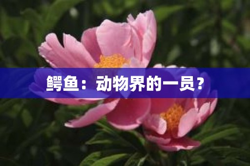 鳄鱼：动物界的一员？