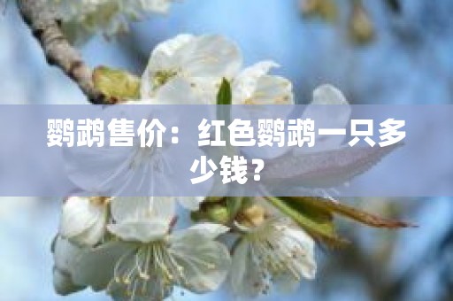 鹦鹉售价：红色鹦鹉一只多少钱？