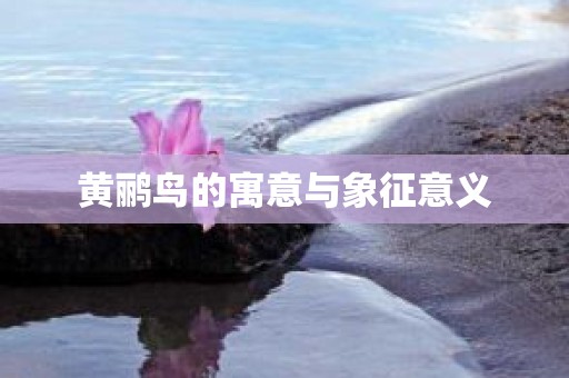 黄鹂鸟的寓意与象征意义