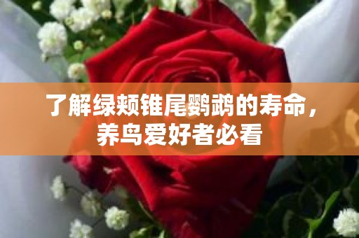 了解绿颊锥尾鹦鹉的寿命，养鸟爱好者必看