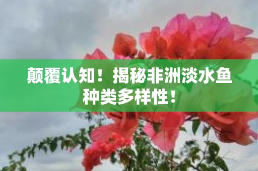 颠覆认知！揭秘非洲淡水鱼种类多样性！