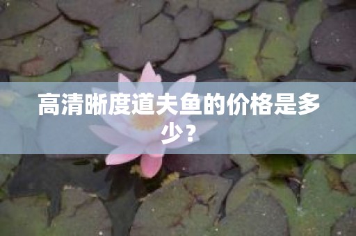 高清晰度道夫鱼的价格是多少？