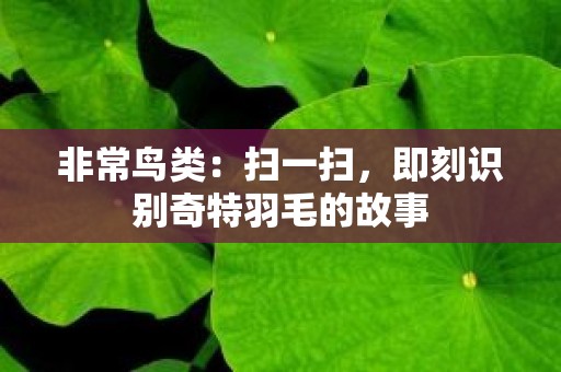 非常鸟类：扫一扫，即刻识别奇特羽毛的故事