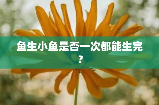 鱼生小鱼是否一次都能生完？