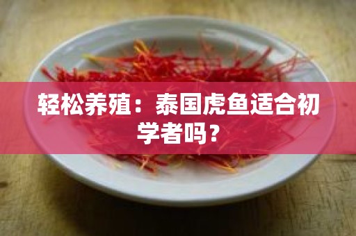 轻松养殖：泰国虎鱼适合初学者吗？